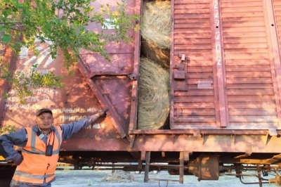 Вместе в беде: карагандинцы отправили 6 000 тюков сена в Мангистаускую область